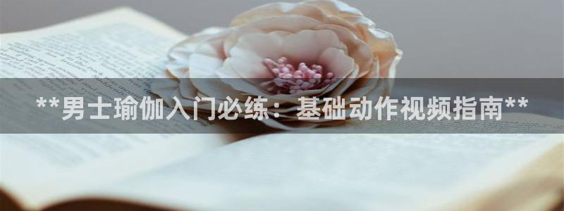 欧洲杯买球网