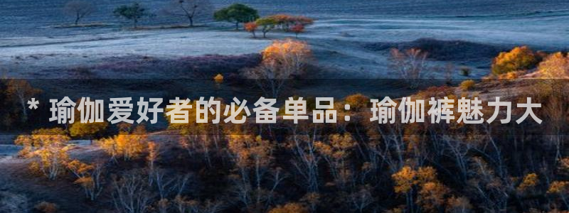 欧洲杯投注入口官网