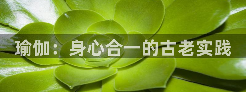 2024年欧洲杯投注