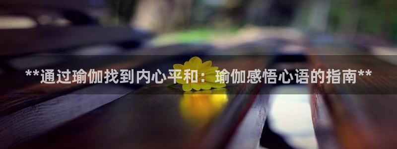 欧洲杯买注在哪买