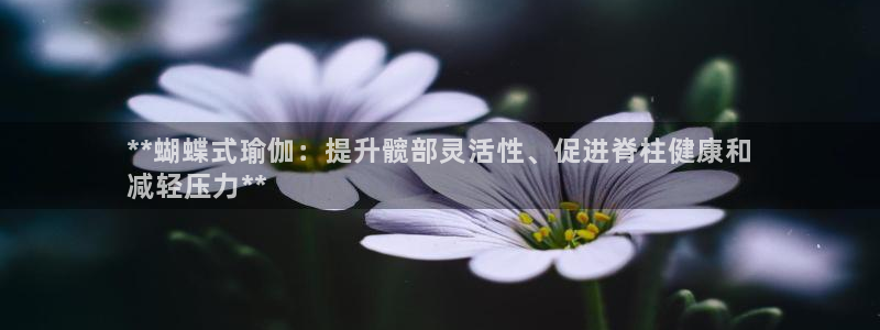 放心购买足球平台