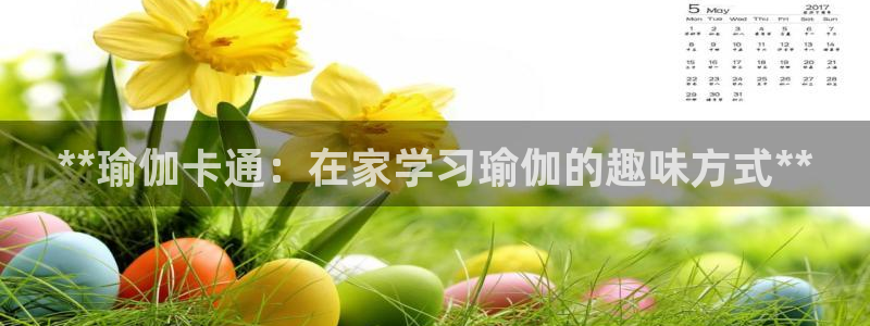 买足球平台哪个比较好