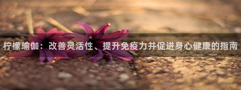欧洲杯靠谱买球平台