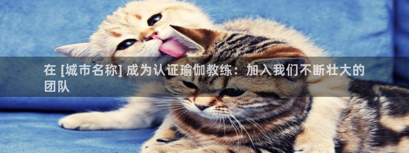 欧洲杯下单平台官网网址